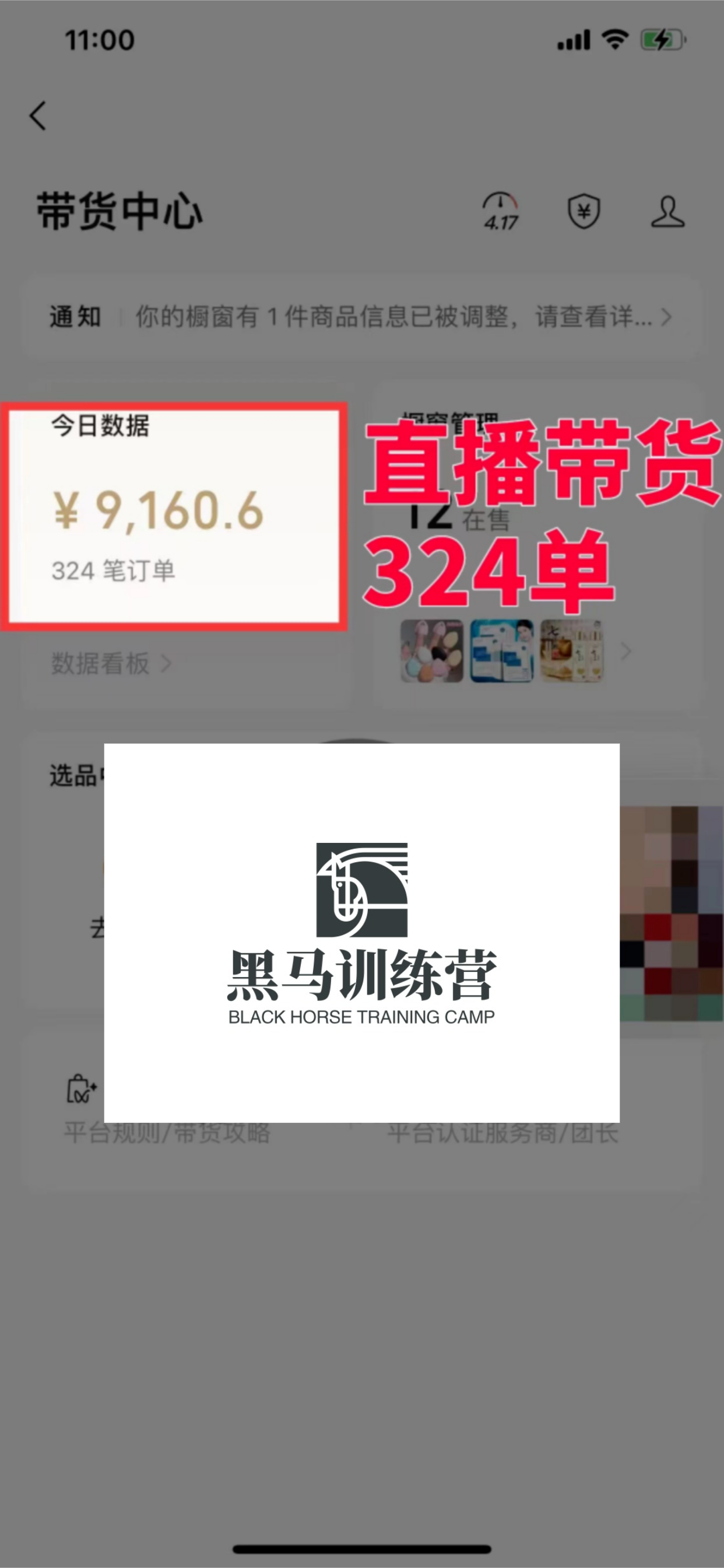 视频号高阶变现项目