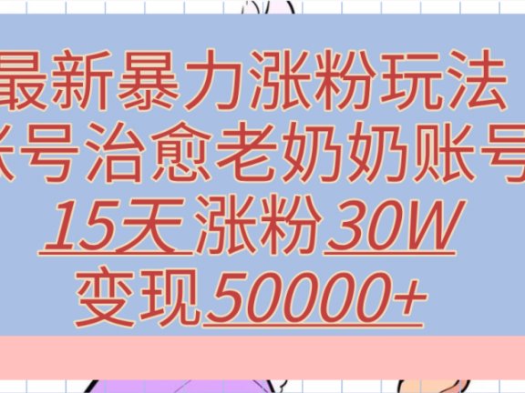最新暴力涨粉玩法，治愈老奶奶账号，15天涨粉30W，变现50000+【揭秘】