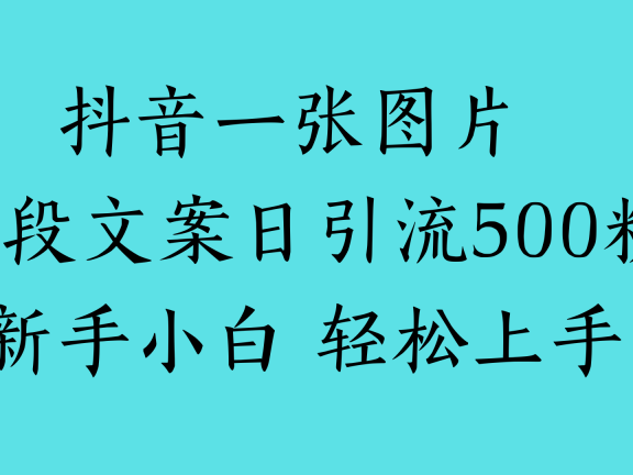 抖音一张图片 一段文案日引流500粉新手小白 轻松上手